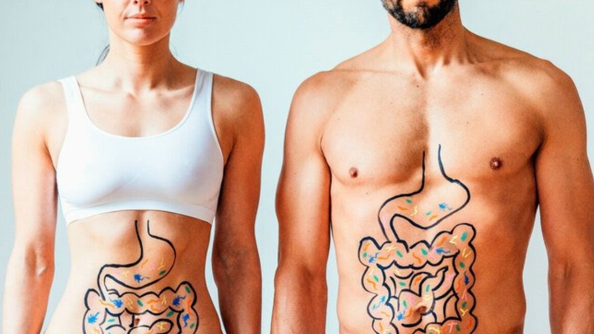 New best parada wave