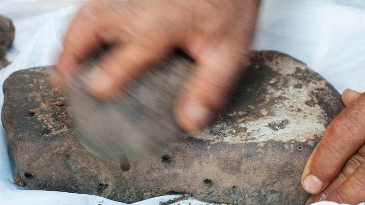 New best parada wave