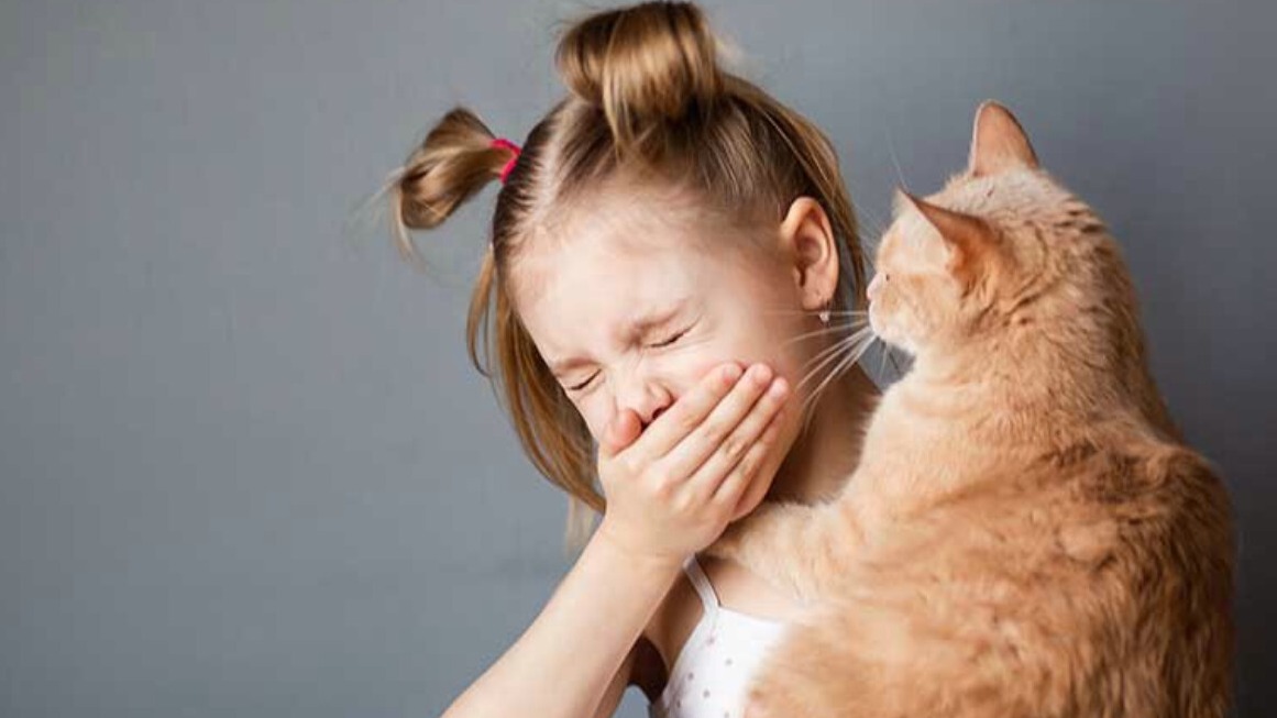 New best parada wave