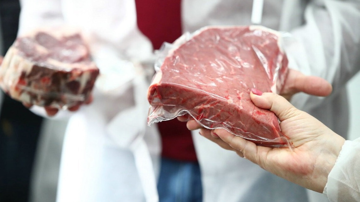 New best parada wave