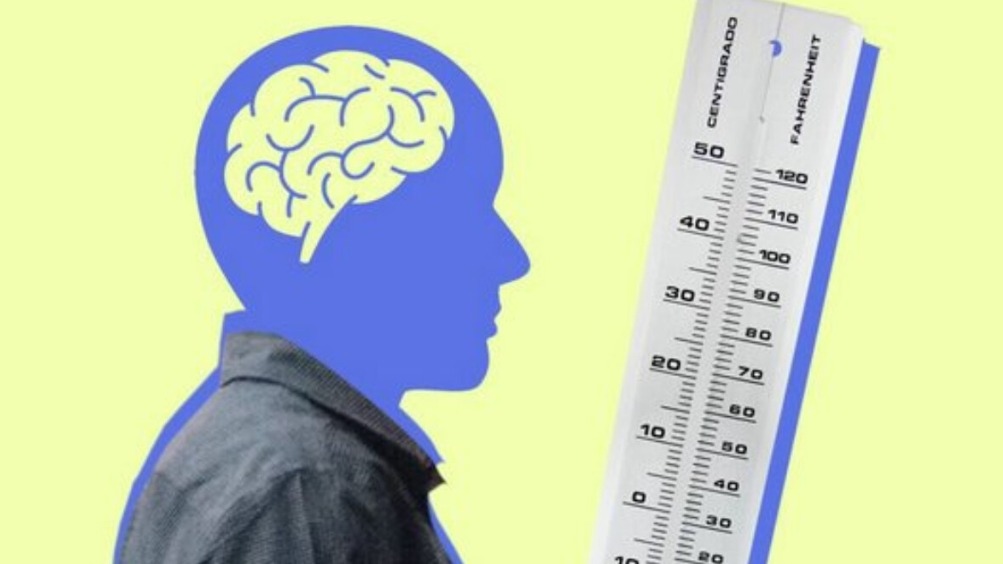 New best parada wave