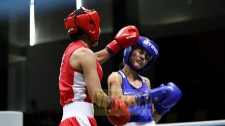 New best parada wave