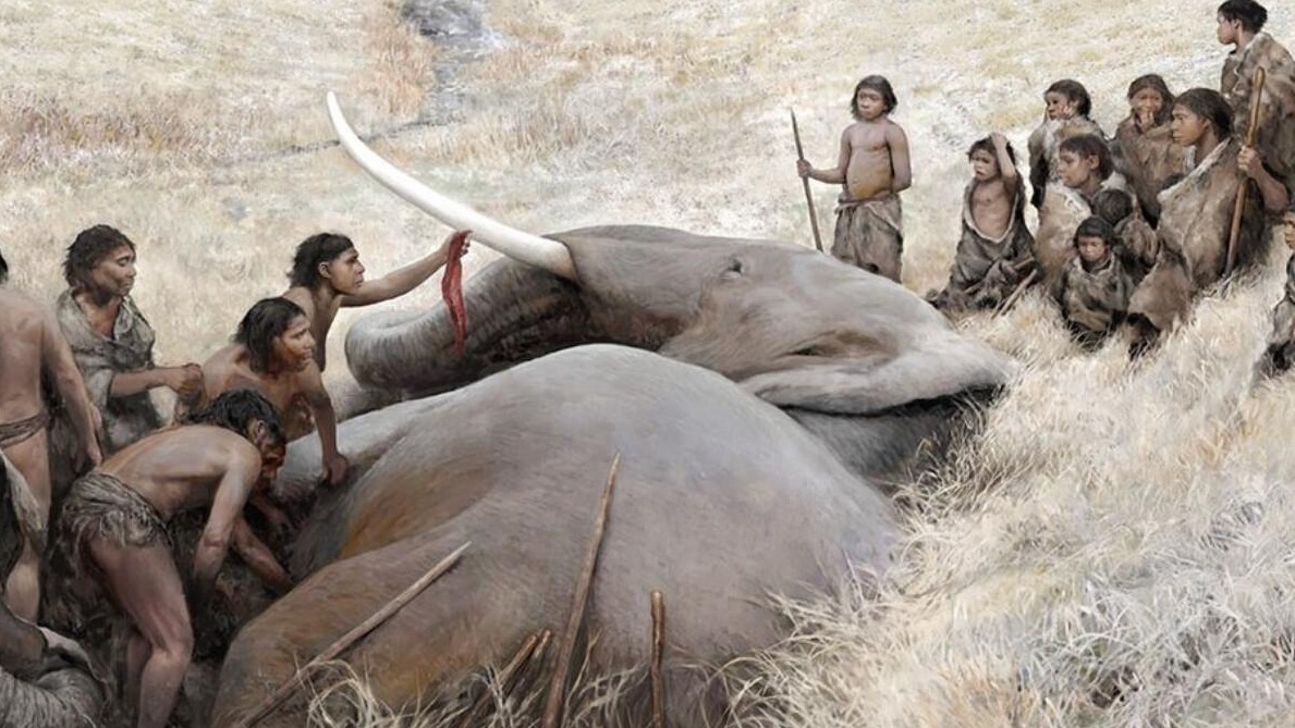 New best parada wave