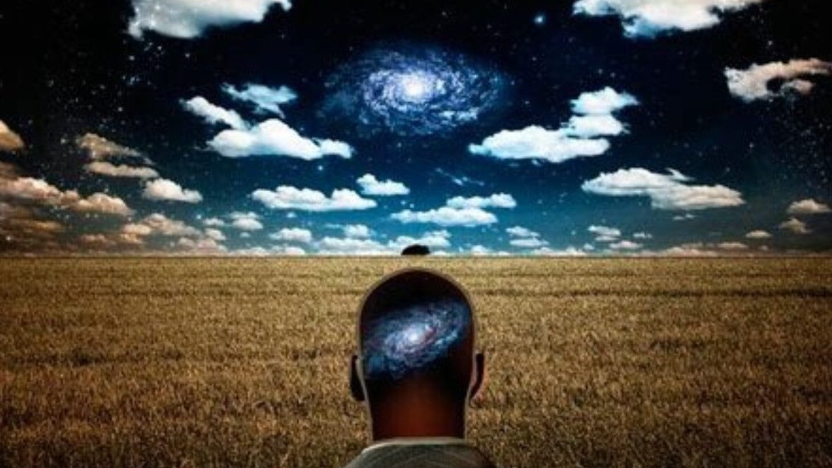 New best parada wave