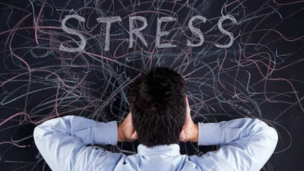 New best parada wave