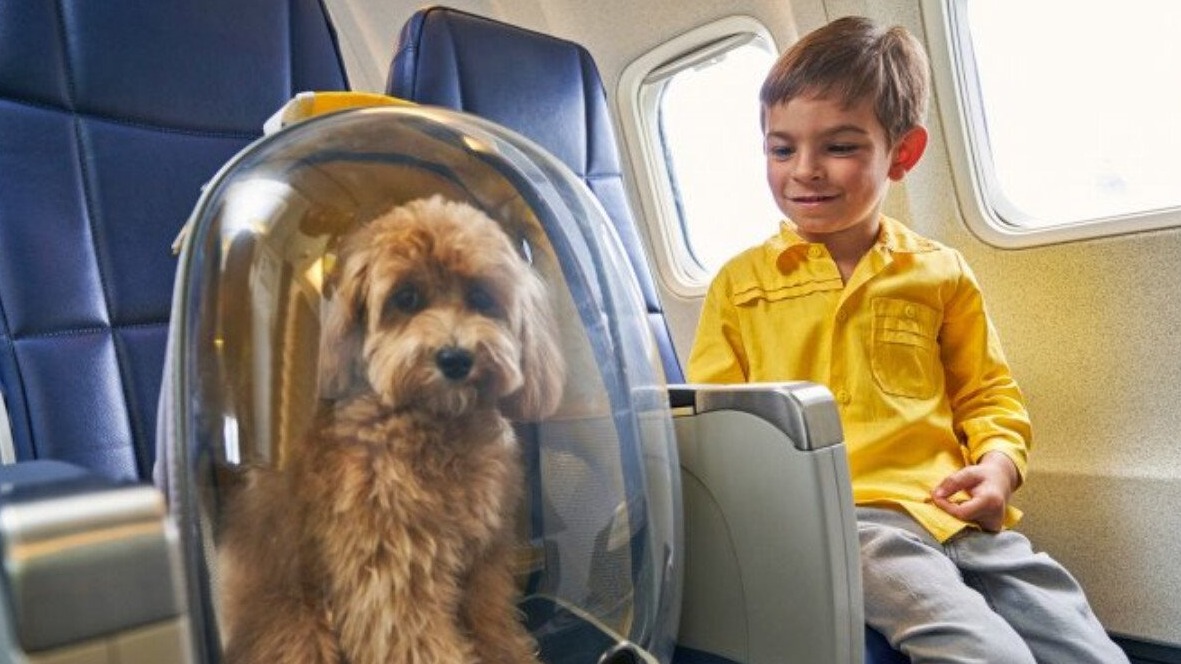 New best parada wave