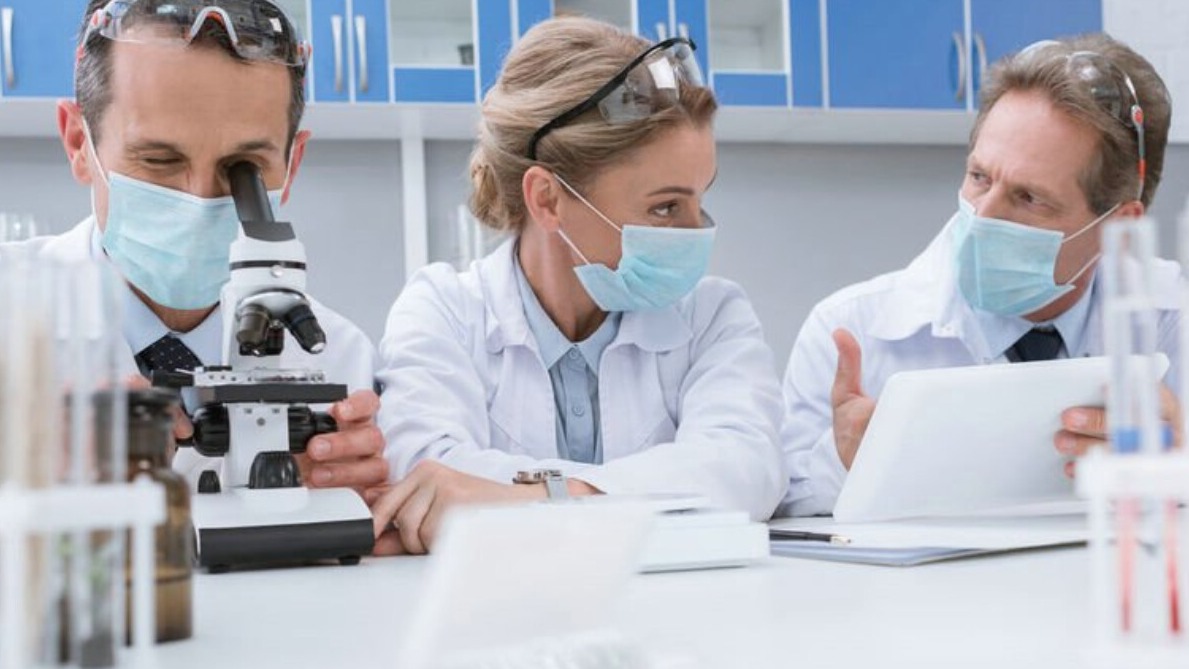 New best parada wave