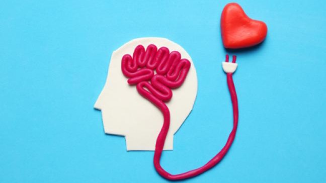 New best parada wave