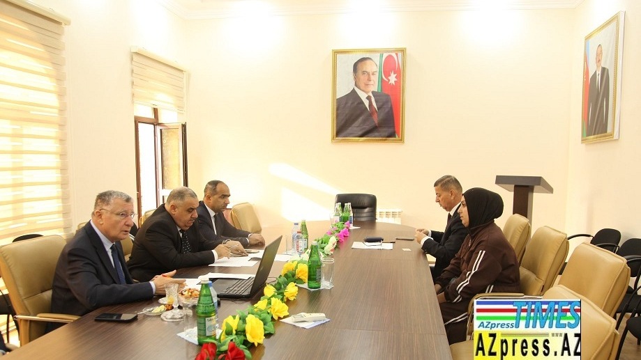 New best parada wave