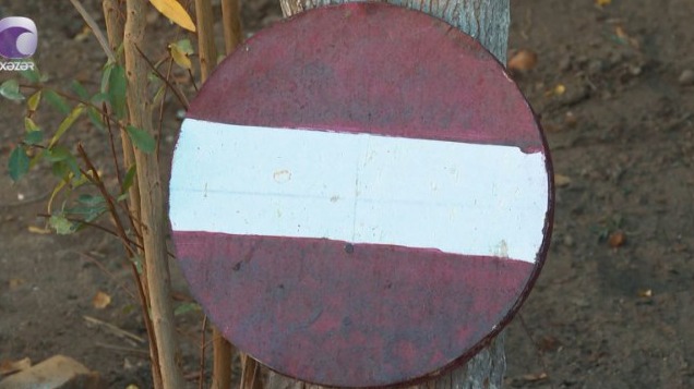 New best parada wave