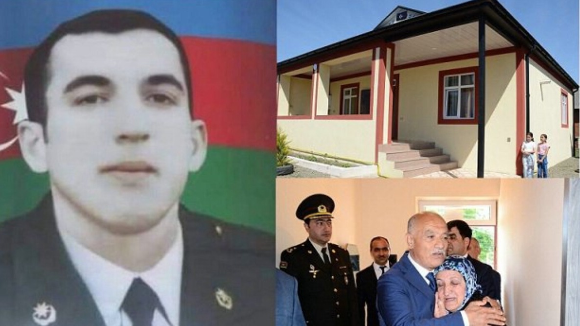 New best parada wave