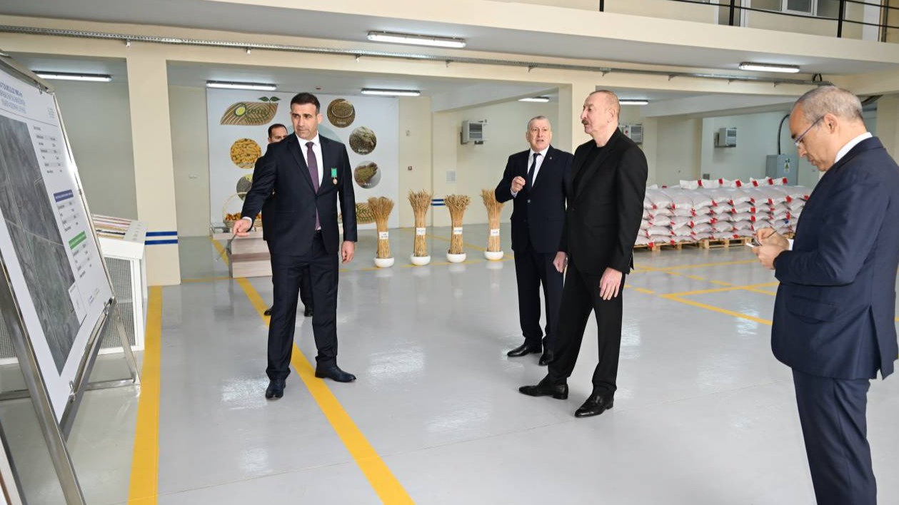 New best parada wave