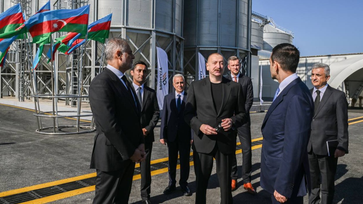 New best parada wave