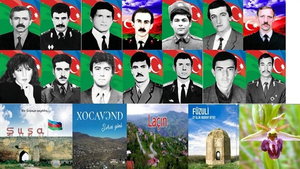 New best parada wave