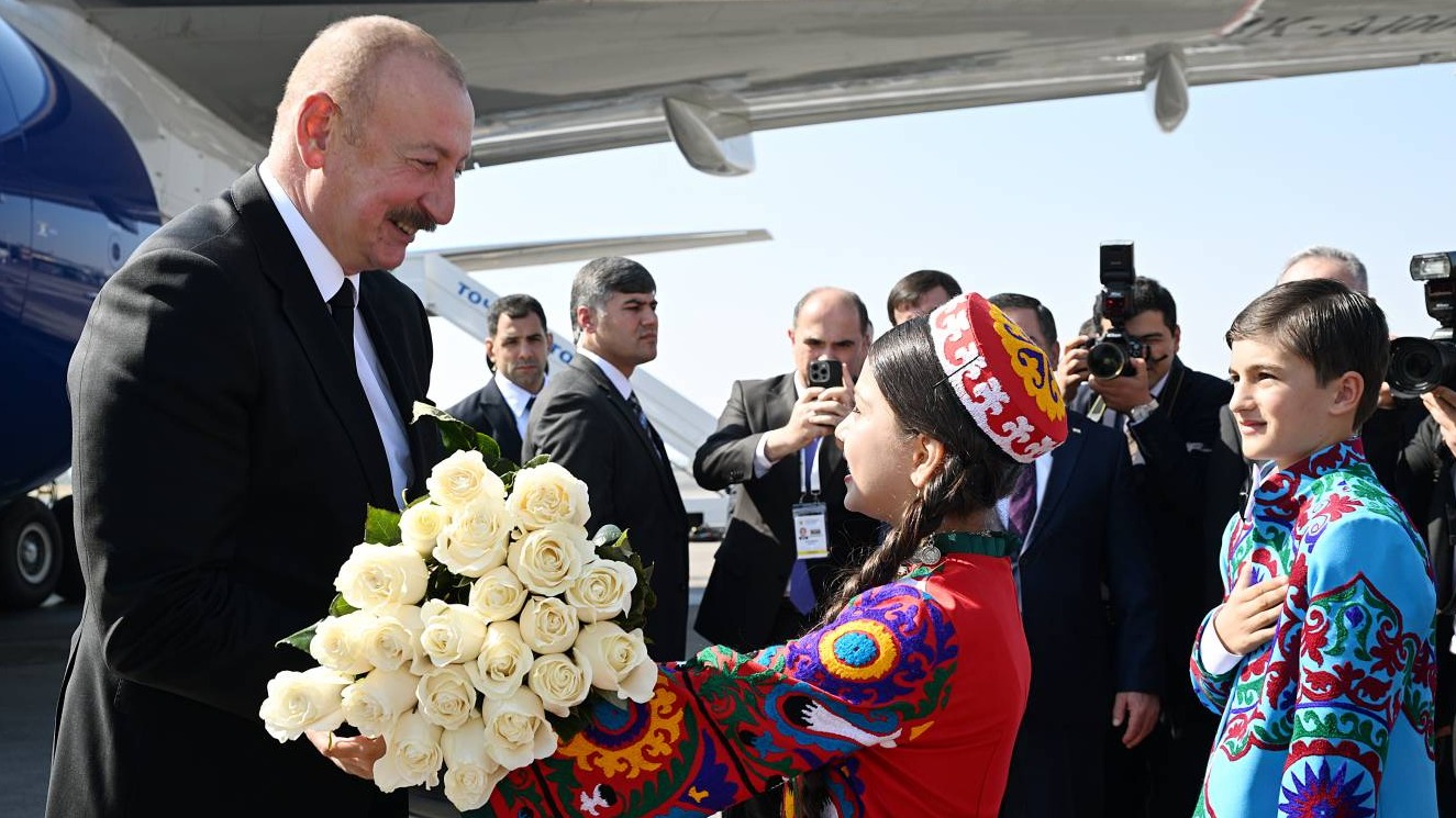 New best parada wave