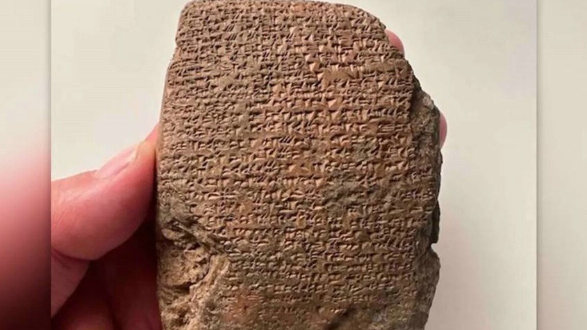 New best parada wave