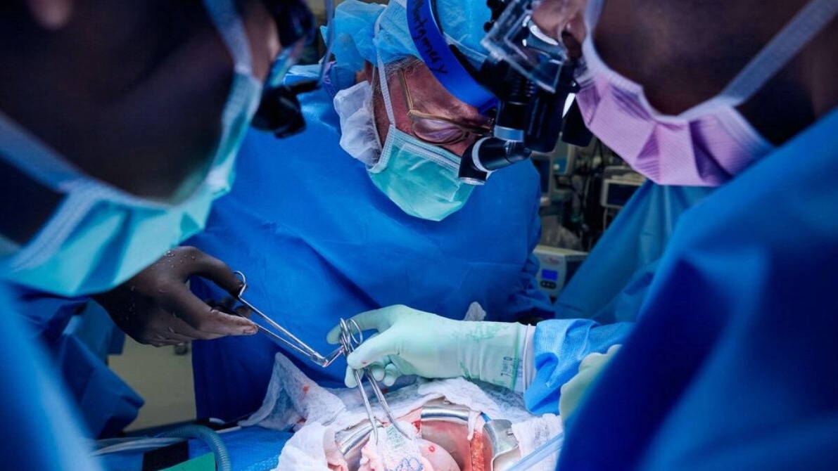 New best parada wave