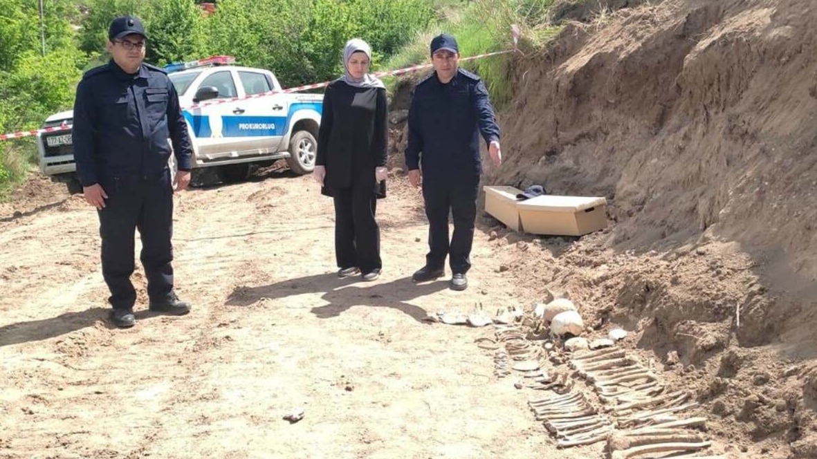 New best parada wave