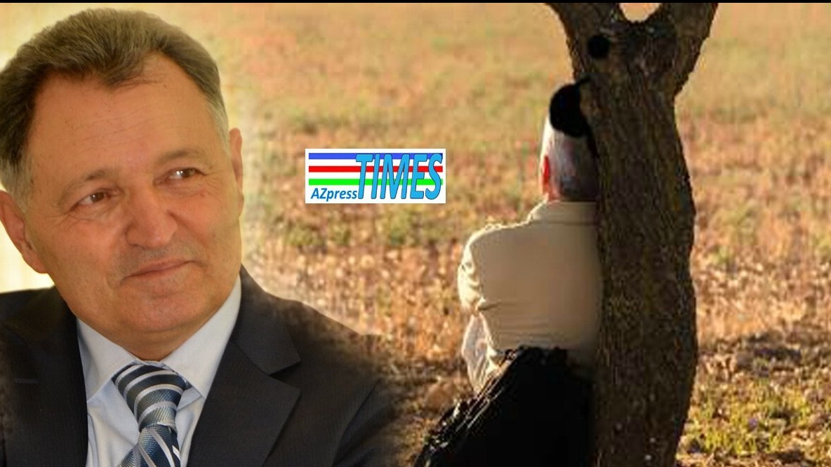 New best parada wave