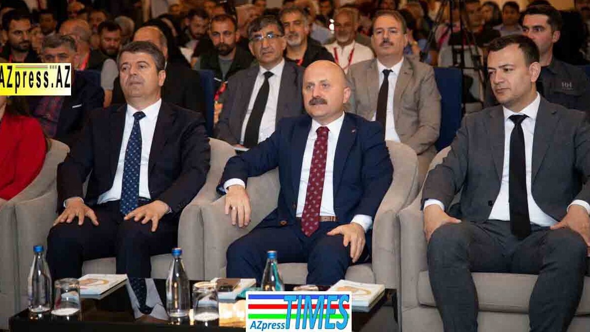 New best parada wave