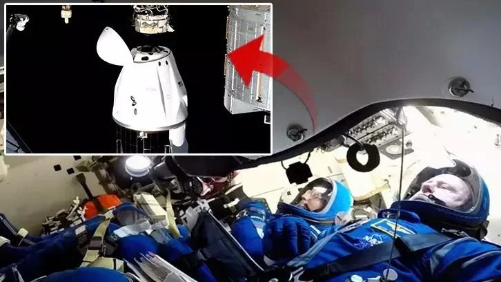 New best parada wave