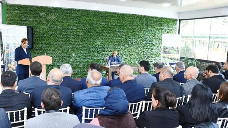 New best parada wave