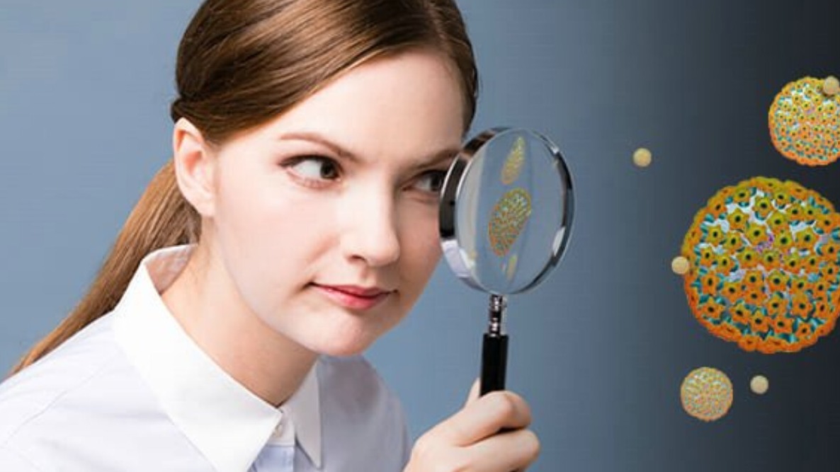 New best parada wave