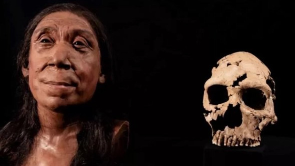 New best parada wave