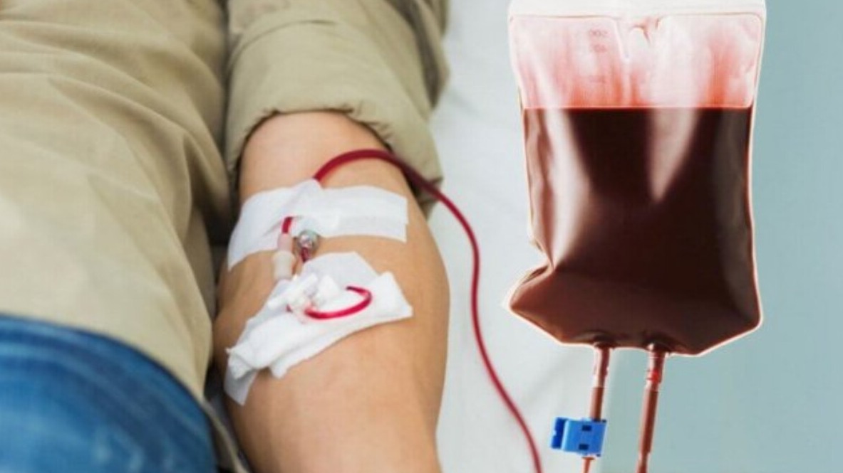 New best parada wave