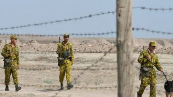 New best parada wave