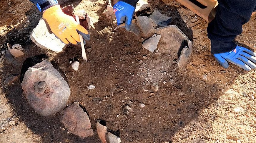 New best parada wave