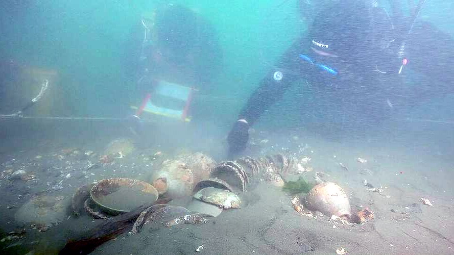 New best parada wave