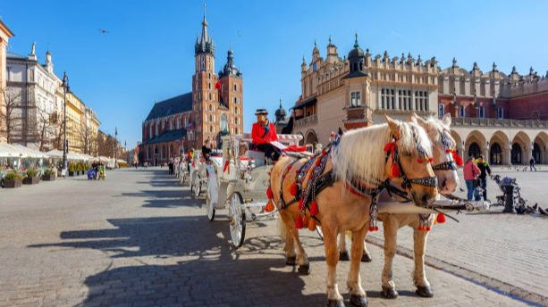 New best parada wave