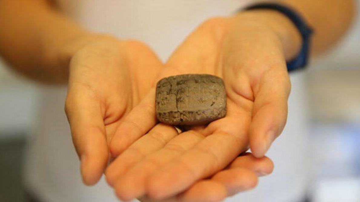 New best parada wave