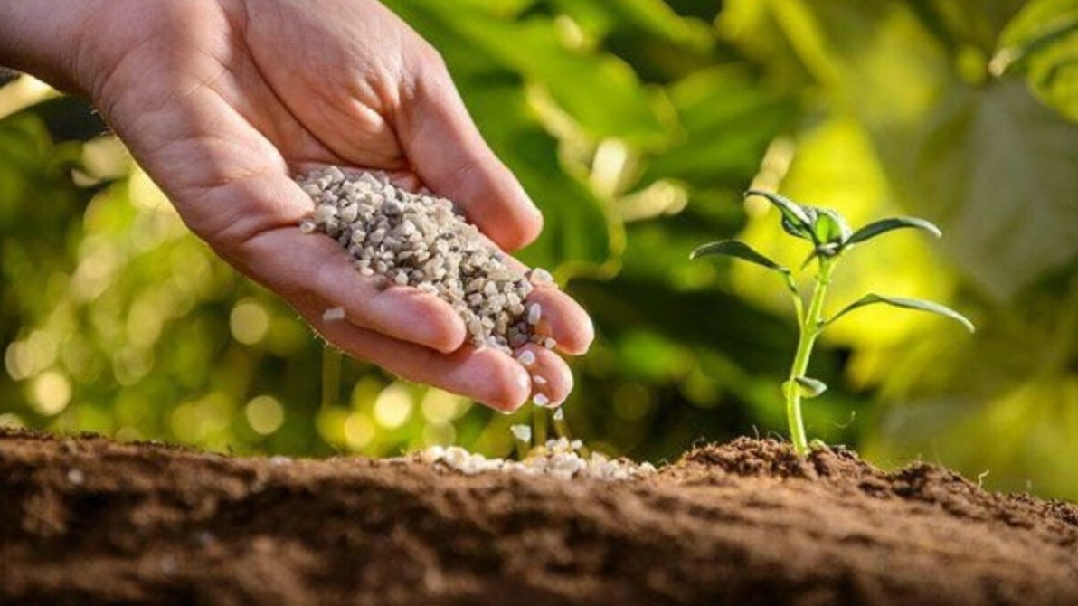 New best parada wave