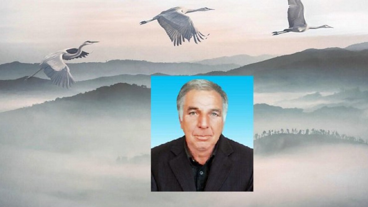 New best parada wave