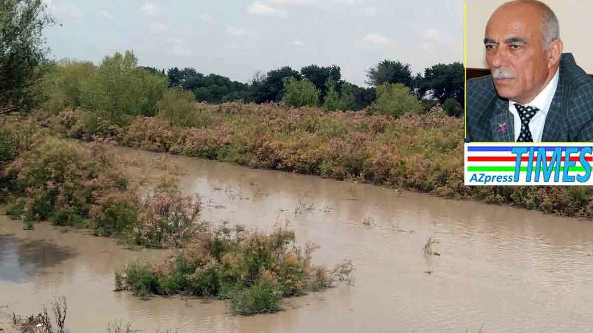 New best parada wave