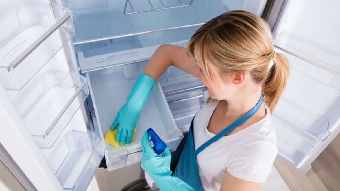 New best parada wave