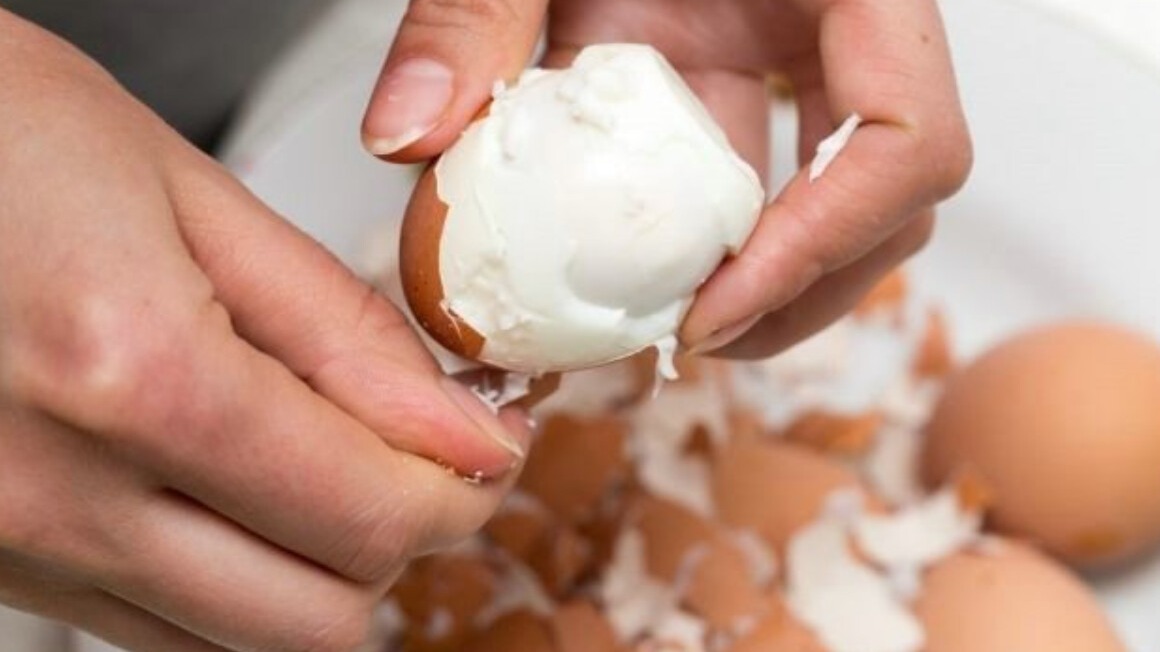 New best parada wave