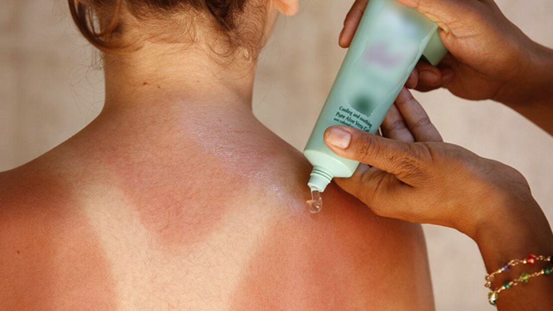 New best parada wave