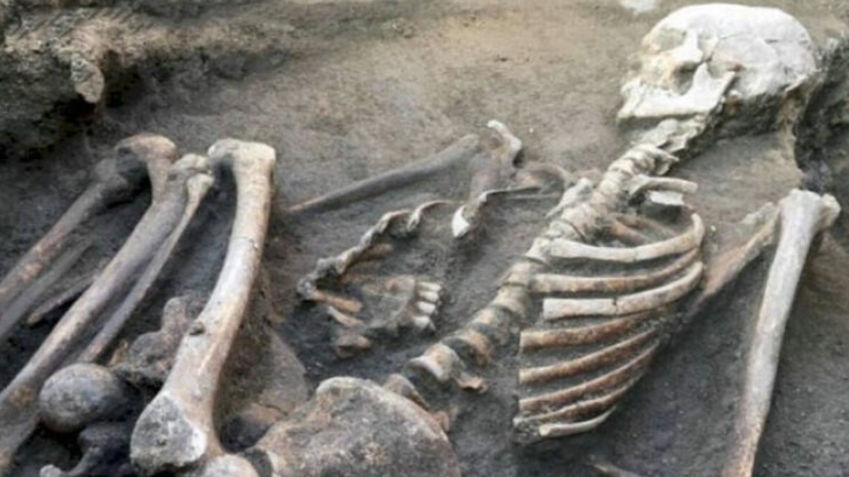 New best parada wave