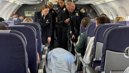 New best parada wave