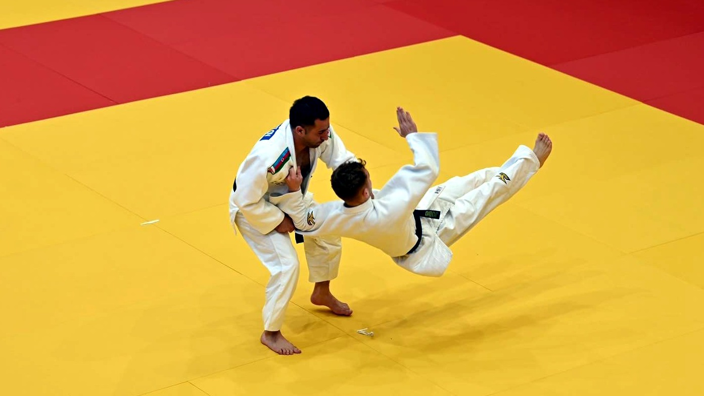 New best parada wave