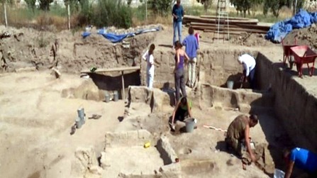 New best parada wave