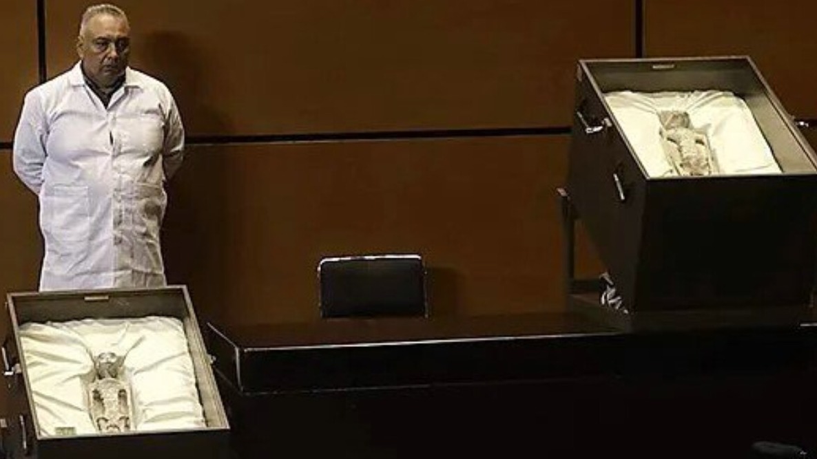 New best parada wave