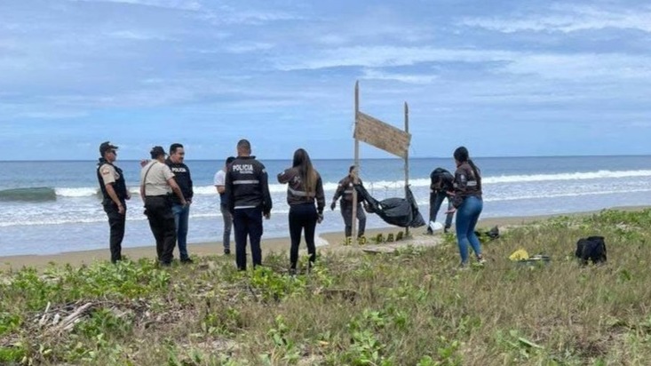 New best parada wave