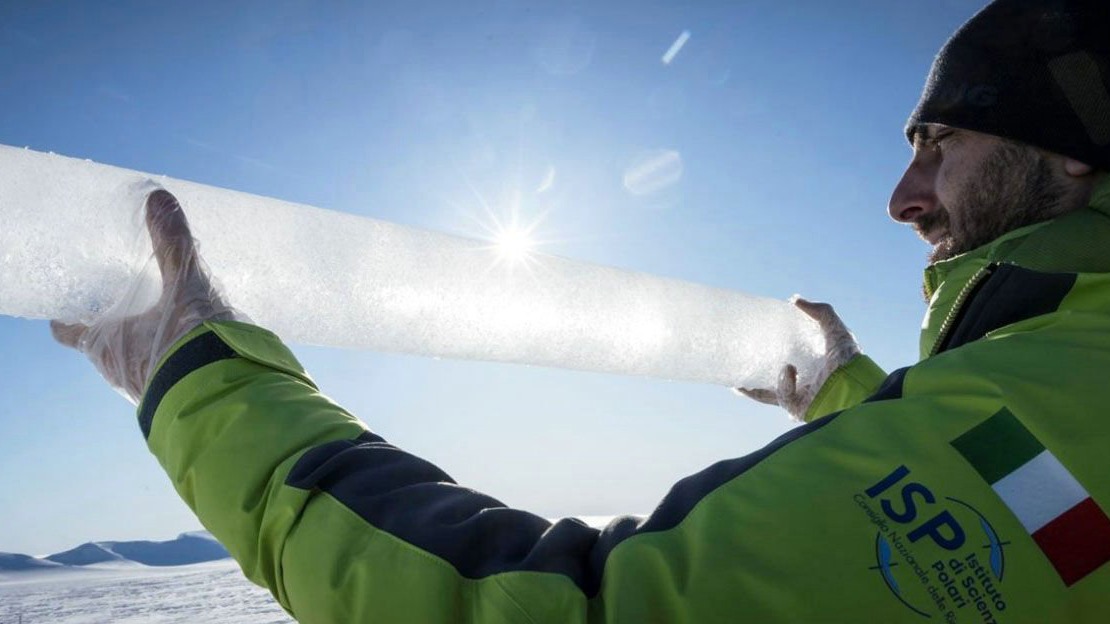 New best parada wave