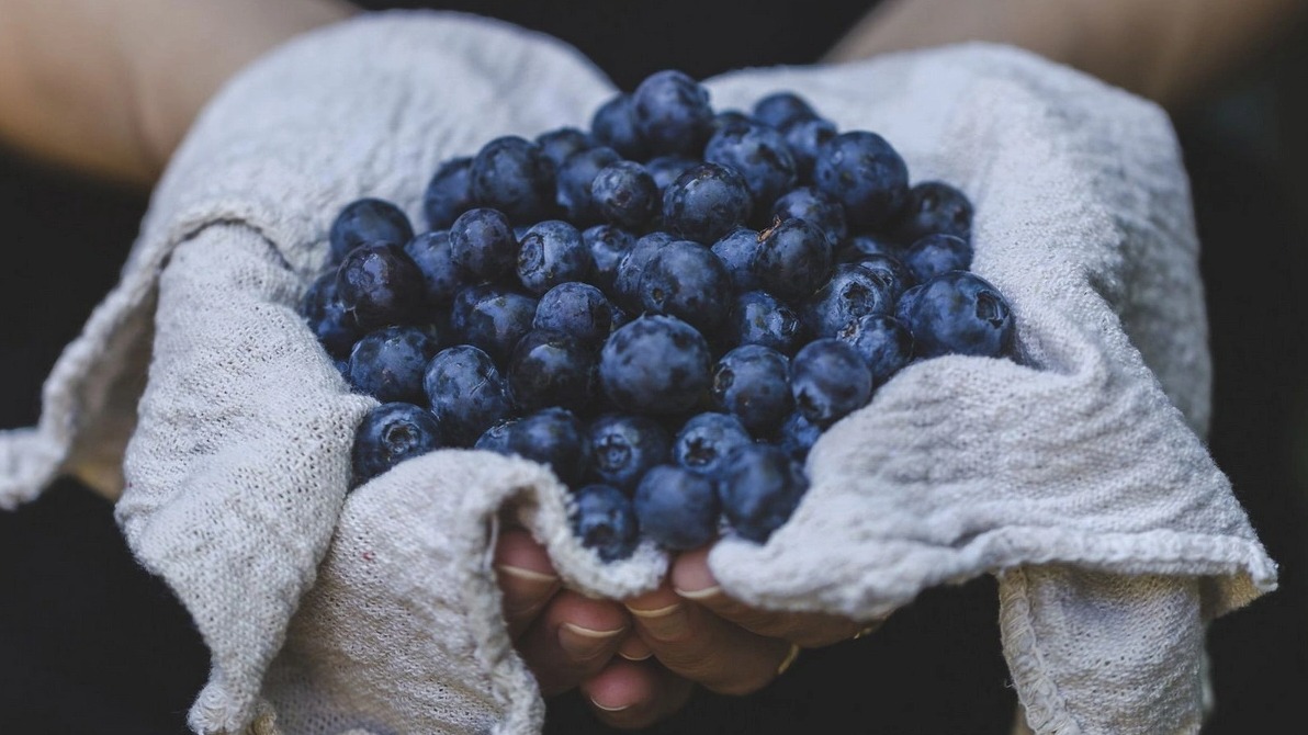 New best parada wave