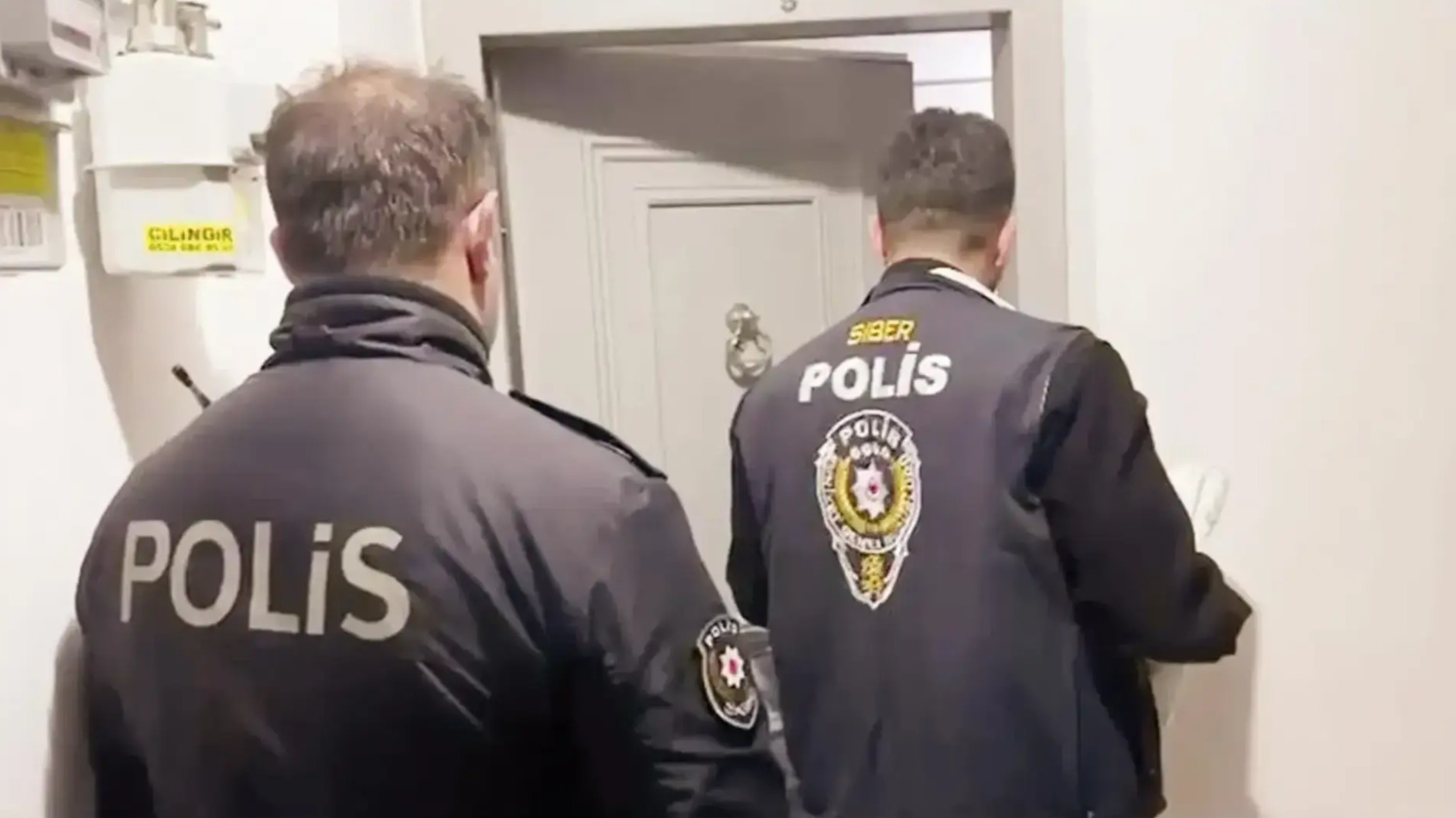 New best parada wave