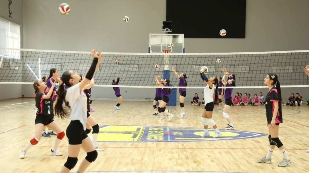 New best parada wave